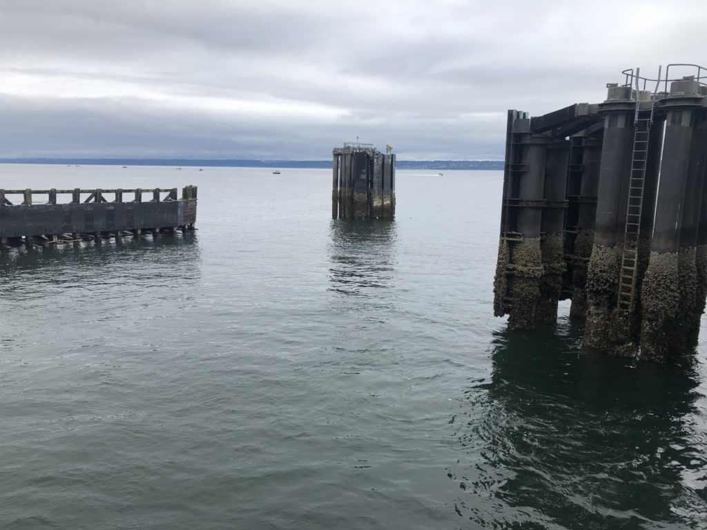 Image of pilings at a ferry dock on Puget Sound under a cloudy sky.